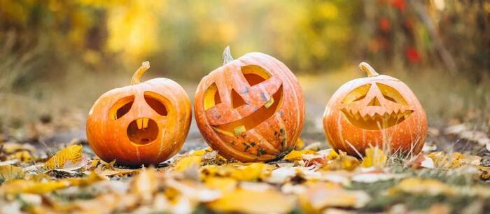 Festa Di Halloween In Toscana3A