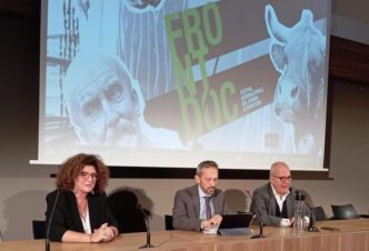 Festival Del Cinema Di Frontie