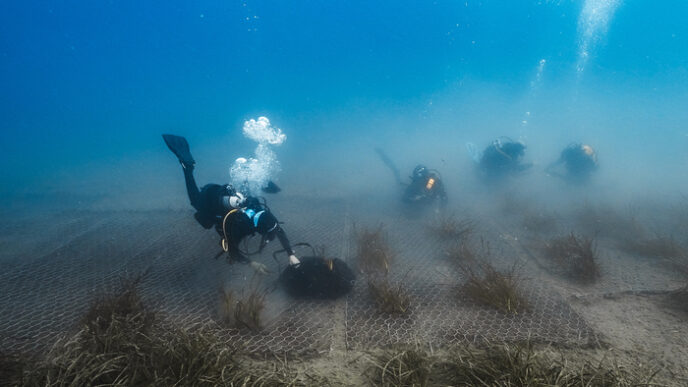 Green Sea3A Un Progetto Per La