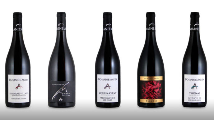 La Sinergia Tra Vino E Ciclism
