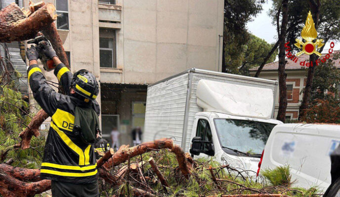 Maltempo Provoca La Caduta Di Un Albero In Ospedale A Senigallia Maltempo Provoca La Caduta Di Un Albero In Ospedale A Senigallia