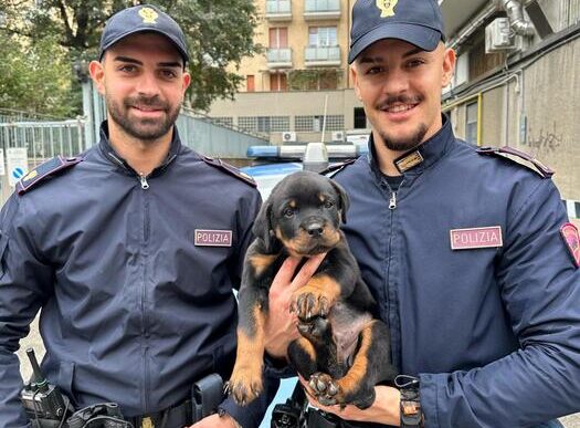 Maltrattamenti A Bologna3A Aggr