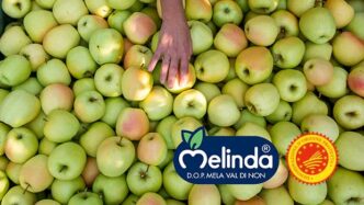 Melinda Punta Su Innovazione E