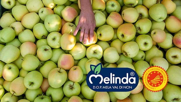 Melinda Punta Su Innovazione E