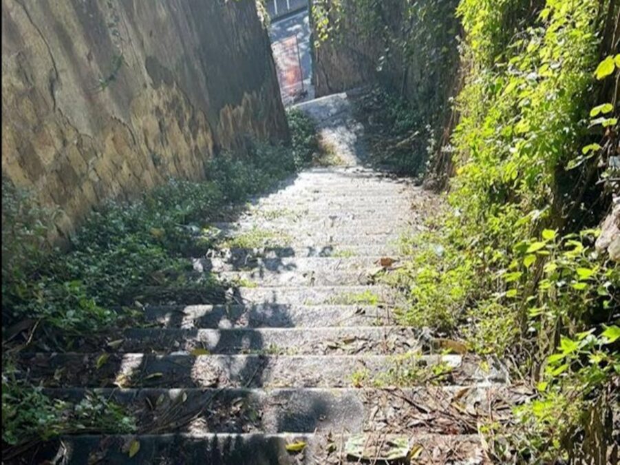 Napoli3A Dal Fascino Del Golfo
