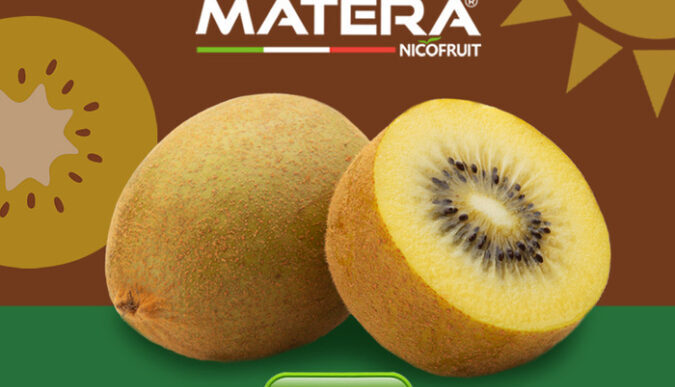 Nuovo Kiwi Giallo Top Gold Di