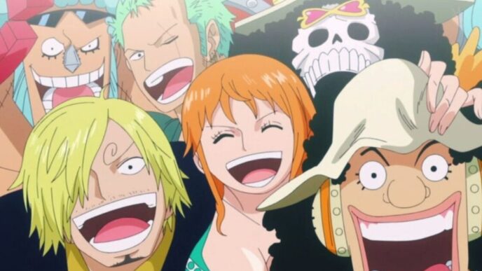 One Piece Si Ferma3A Toei Anima