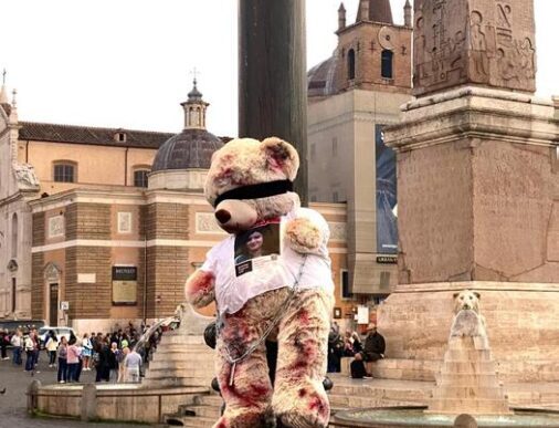 Orsi Di Peluche Per Ricordare