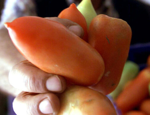 Rilancio Del San Marzano Stra