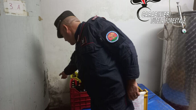 Sequestro Di Vini A Taurasi3A 2