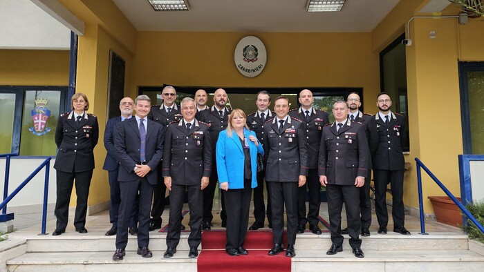 Sicurezza E Criminalitc3A0 Organi