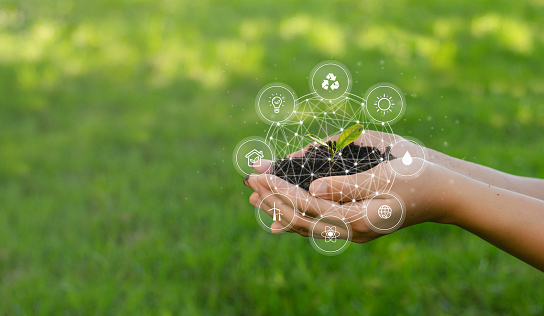 Syngenta Italia Promuove La Sc