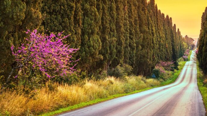 Toscana3A Un Viaggio Tra Vino2C