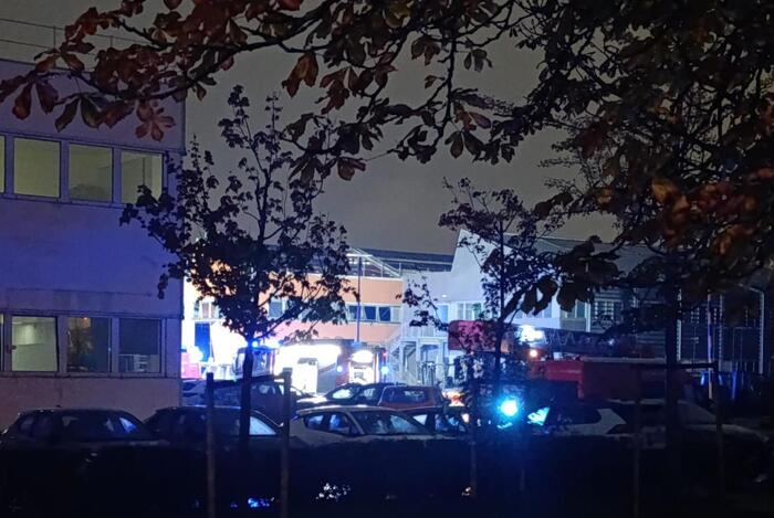 Tragedia Alla Toyota Material