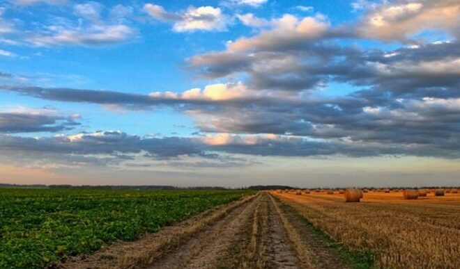 Tre Proposte Per Il Lotto Agri