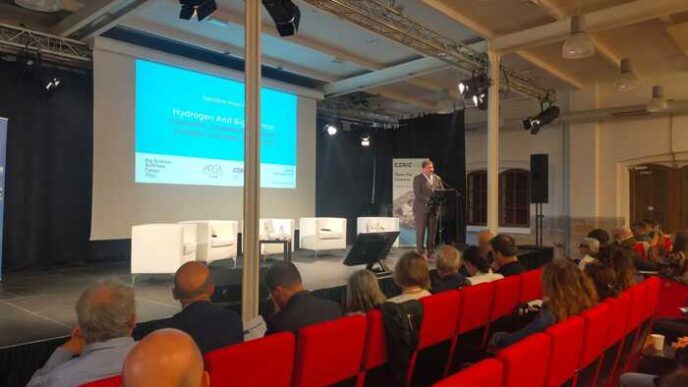 Trieste Ospita Il Bsbf 2024 U