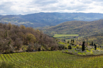 Vecchie Terre Di Montefili3A Ec