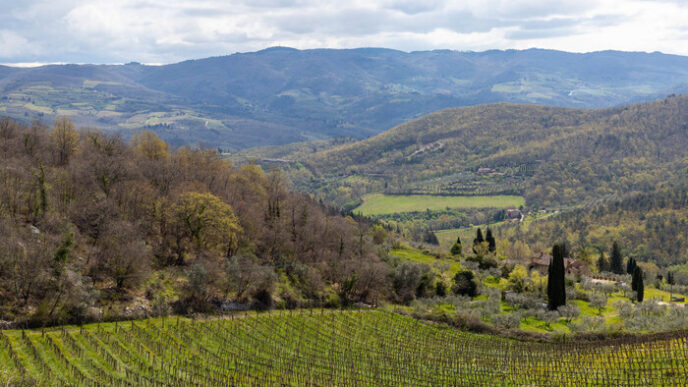 Vecchie Terre Di Montefili3A Ec