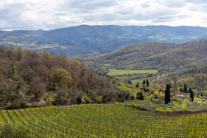 Vecchie Terre Di Montefili3A Ec