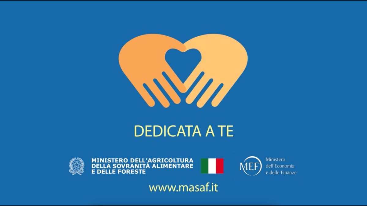 Carta Dedicata A Te 2025: In Arrivo Nuovi Pagamenti, Ma Importi Ridotti? 5