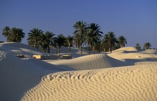 A Tozeur2C Tunisia2C Si Svolgerc3A0