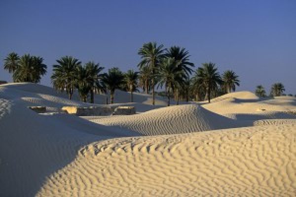 A Tozeur2C Tunisia2C Si Svolgerc3A0