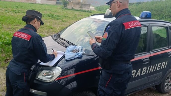 Accusa Di Furto Di Tartufi3A Ci
