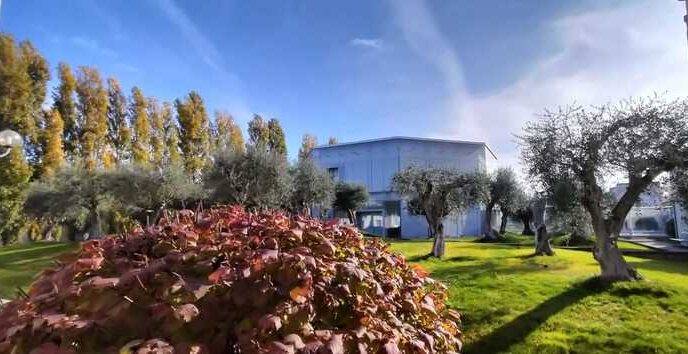 Biosensore Innovativo Per La D