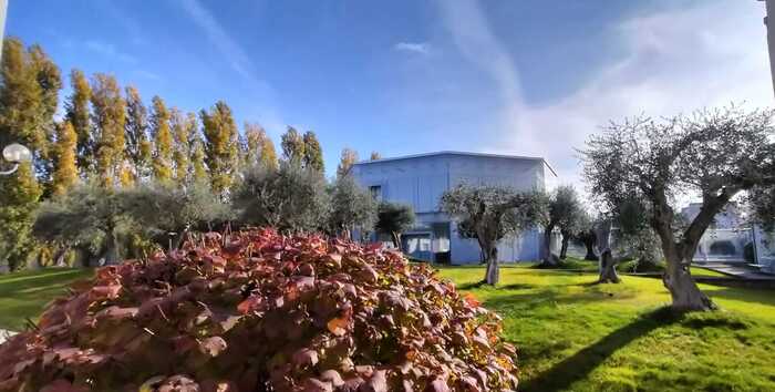 Biosensore Innovativo Per La D