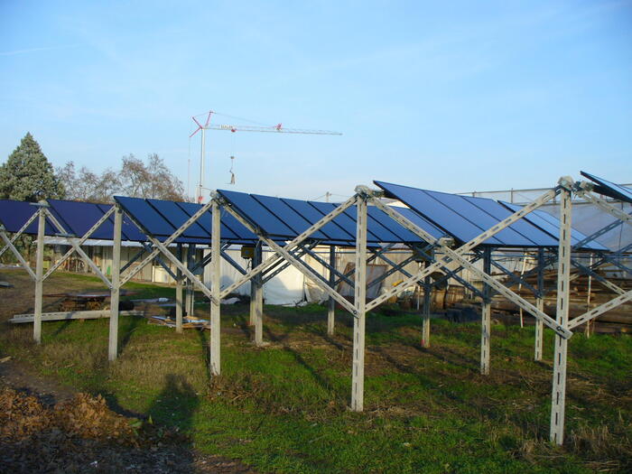 Campania In Testa Per Energie