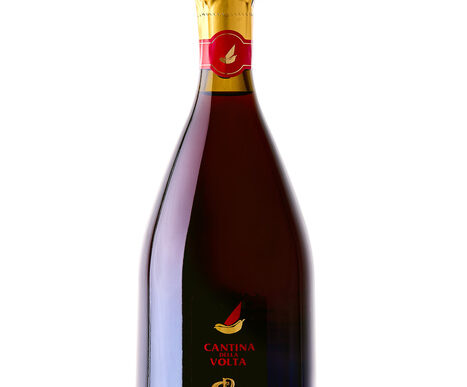 Cantina Della Volta Lancia Il
