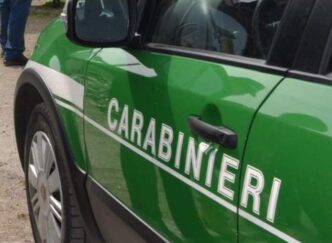 Celebrazioni Per La Giornata N
