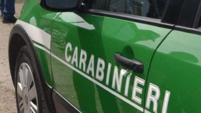 Celebrazioni Per La Giornata N
