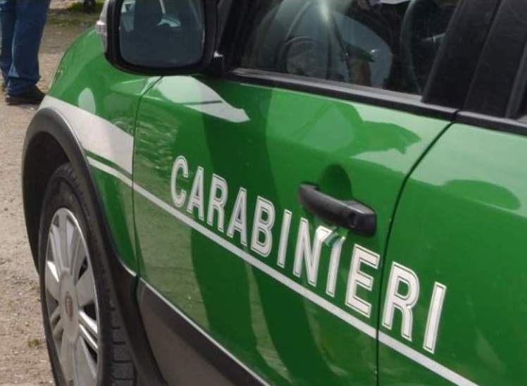 Celebrazioni Per La Giornata N