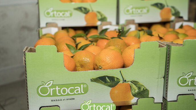Clementine Marinella Sostenitr