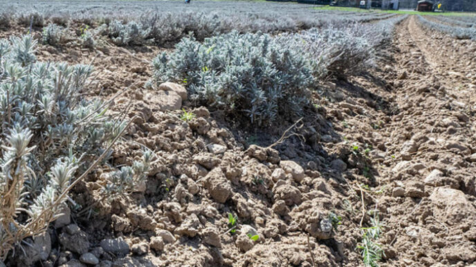 Crisi Idrica In Italia3A L27Urge