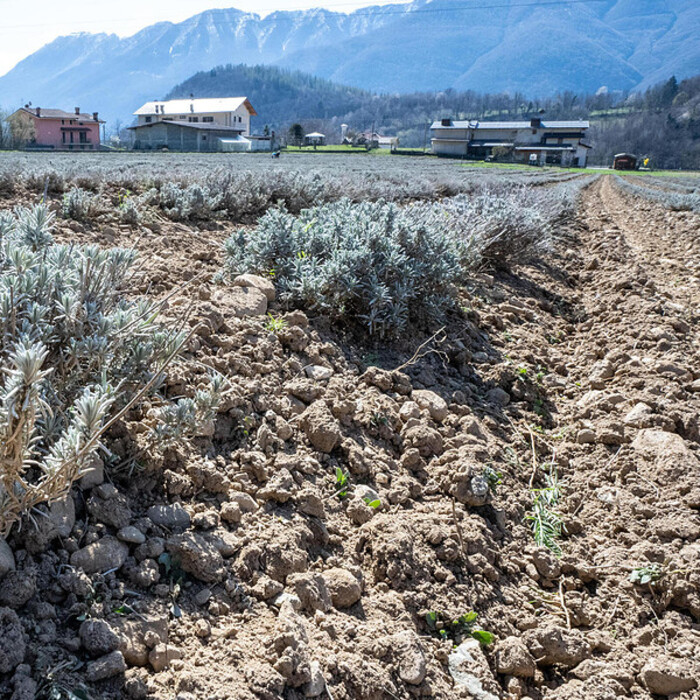 Crisi Idrica In Italia3A L27Urge