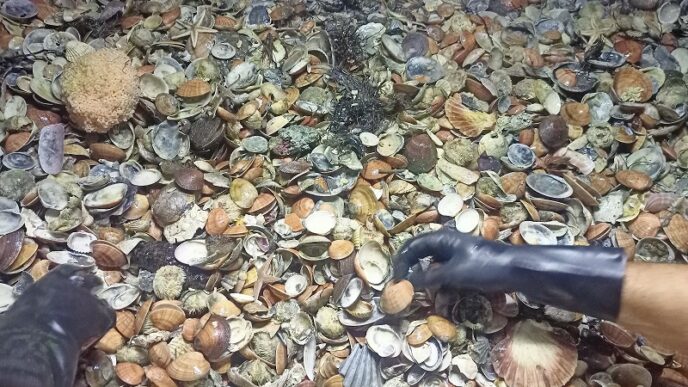 Crisi Nei Settori Di Pesca3A Pe