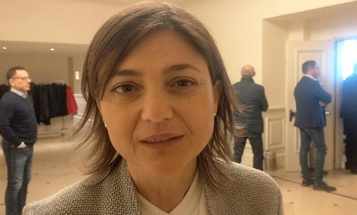 Critica Alle Dichiarazioni Di