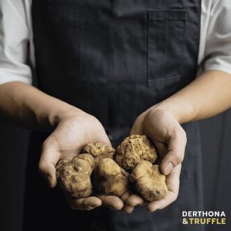 Derthona 26 Truffle3A Le28099Evento C