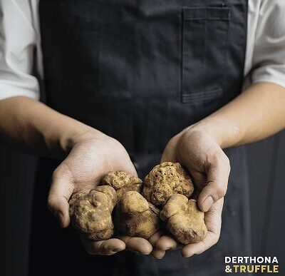 Derthona 26 Truffle3A Le28099Evento C