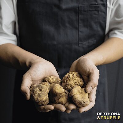 Derthona 26 Truffle3A Le28099Evento C