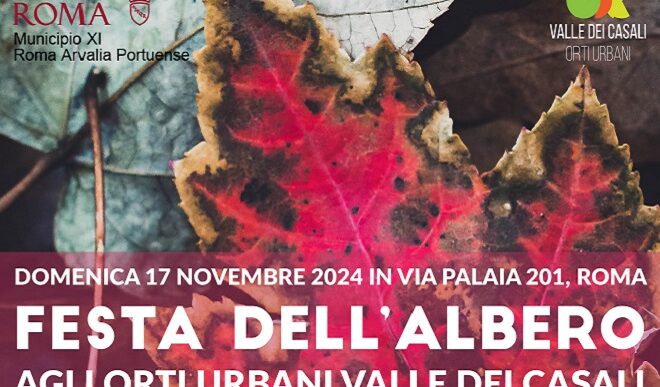 Festa Delle28099Albero3A Eventi E La