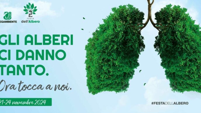 Festeggiamenti Per Le28099Ambiente3A