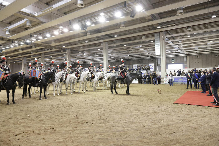Fieracavalli 20243A Il Pic3B9 Gran