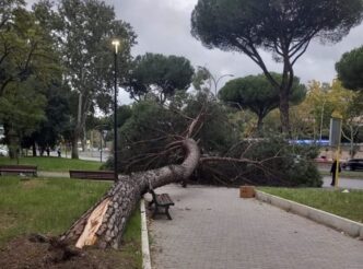 Forte Vento Provoca La Caduta