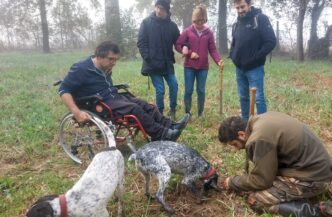 Frinco Si Prepara Ad Accoglier