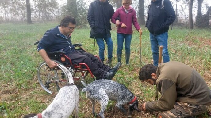 Frinco Si Prepara Ad Accoglier