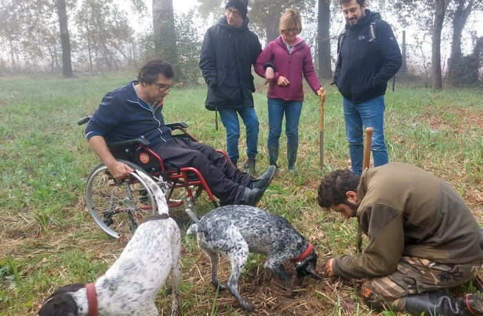 Frinco Si Prepara Ad Accoglier
