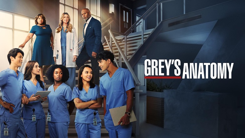 Grey27S Anatomy Stagione 213A No